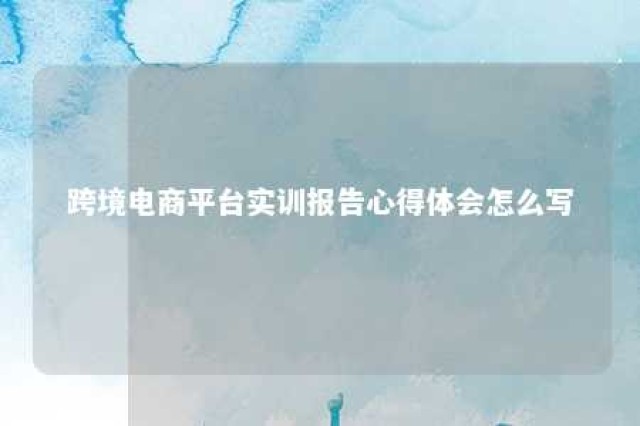 跨境电商平台实训报告心得体会怎么写 跨境电商实训报告心得体会500-800